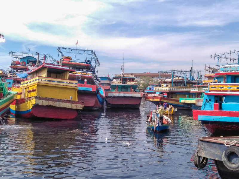 Photo 2 - Encombrement du port de pêche de Bajomulyo 